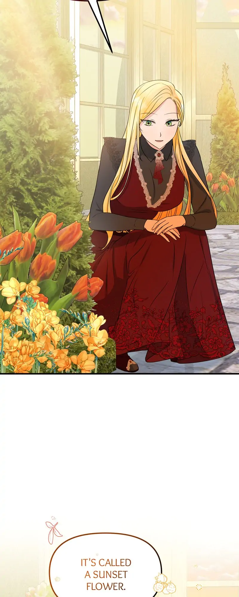 32997666 800 2000 109012