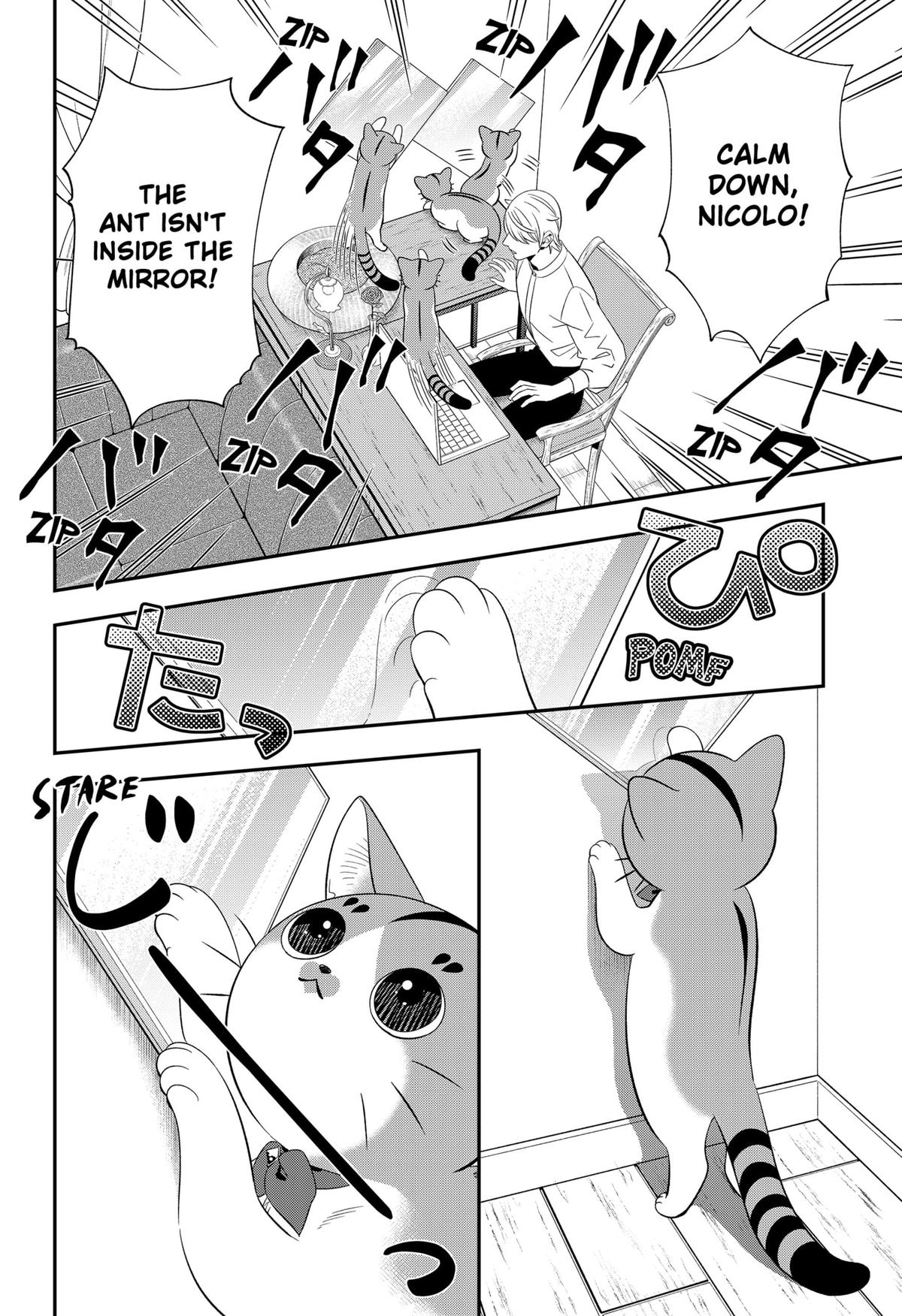 64393773 1200 1752 409533